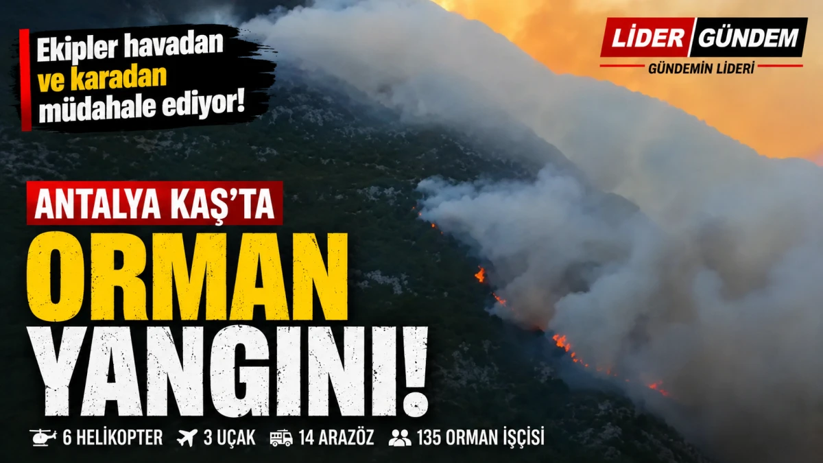 Antalya Kaş'ta Orman Yangını! Ekipler Havadan ve Karadan M&uuml;dahale Ediyor