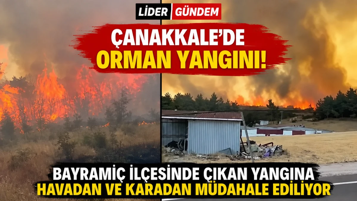 &Ccedil;anakkale Bayrami&ccedil;'te Orman Yangını: Ekipler Havadan ve Karadan M&uuml;dahale Ediyor